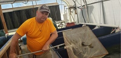 Douglas Baznik tagging fish at UF/IFAS Tropical Aquaculture Laboratory