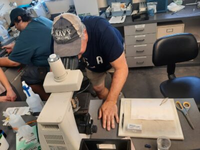 Douglas Baznik studying the Trichodina parasite in his UF/IFAS lab